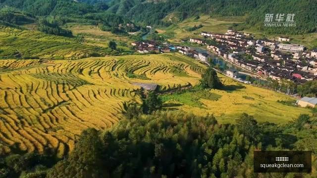 电竞战队新,赞助揭晓,备战新赛季,九游会中心官网,九游会中心App,九游会互动,九游会娱乐,九游会平台